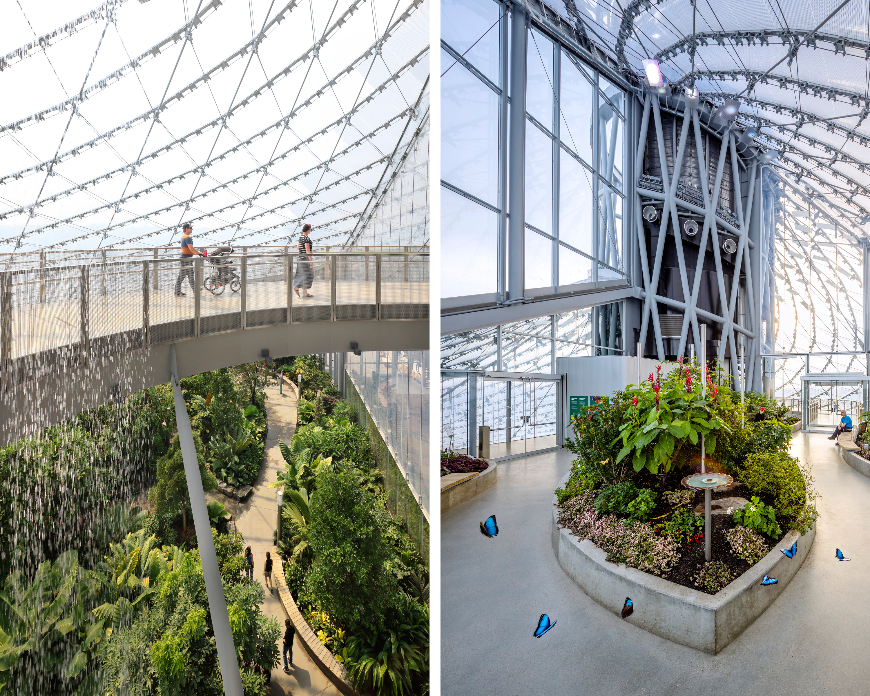 Interior image showing upper walkway